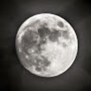 Meet your Posher, Brent